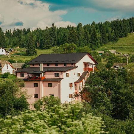 Pensiunea Auras Dorna-Arini Buitenkant foto